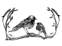 Indian Ink Birds