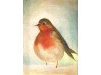 Wintry - The little robin